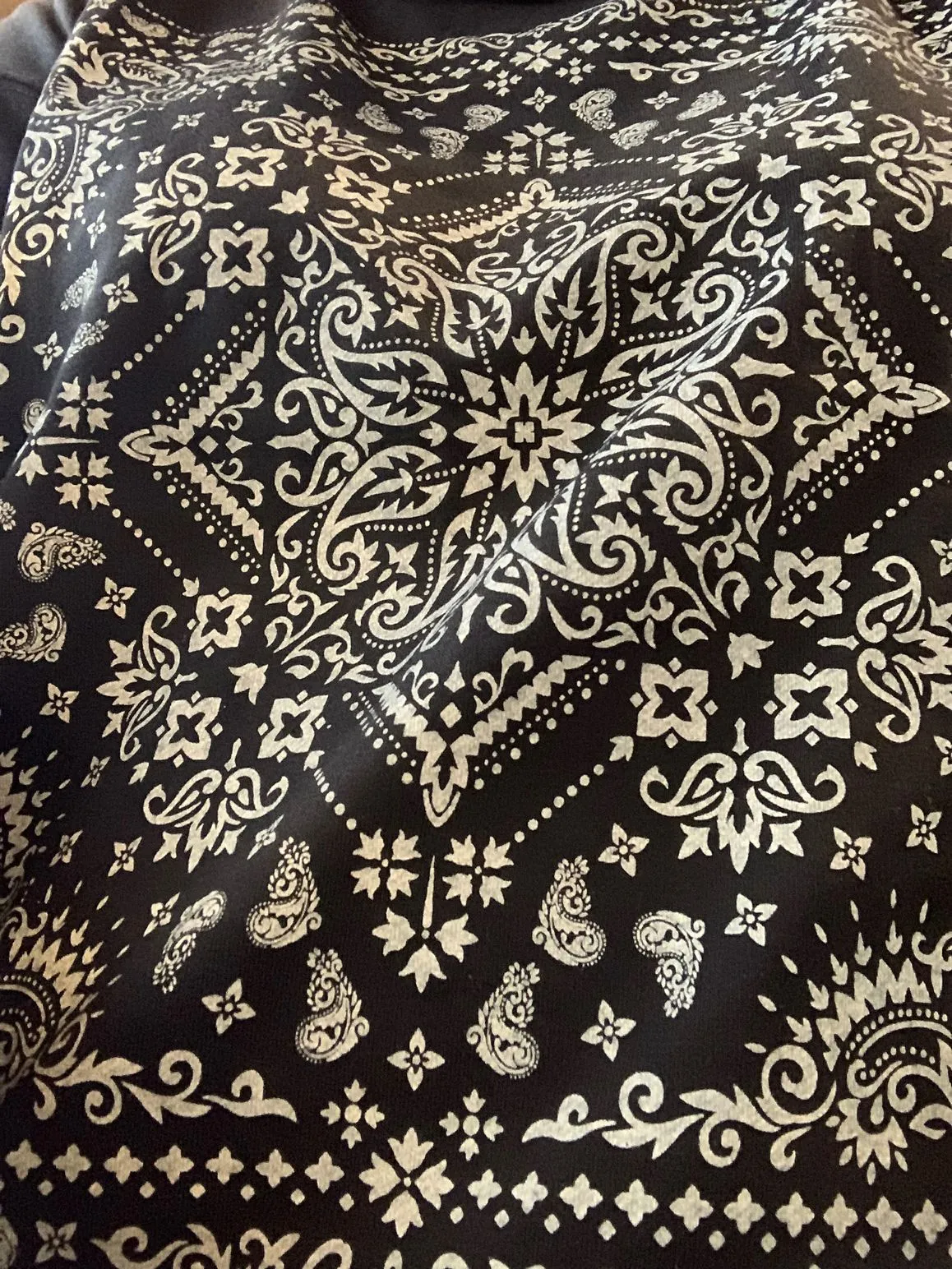 Black Bandana Print  Sweatshirt - S to 3X