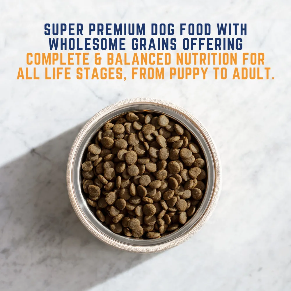 Natural Balance Original Ultra Chicken & Barley Formula Large Breed Bites Dry Dog Food