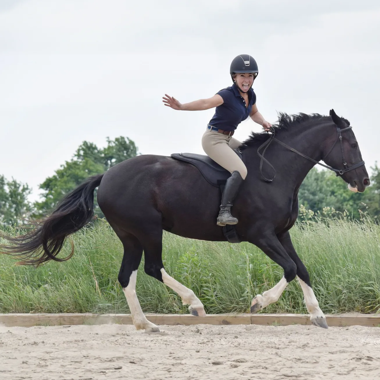 ThinLine Comfort Bareback Saddle Pad With Girth